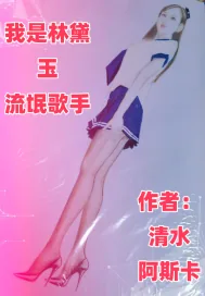 《我是林黛玉流氓歌手》小说封面