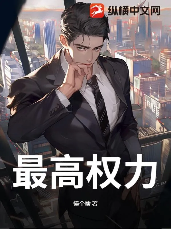 《最高权力》小说封面