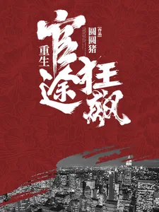 《重生：官途狂飙》小说封面