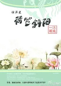 《荷笠斜阳[综 剑三]》小说封面