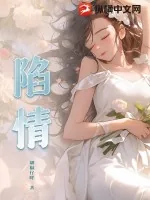 《陷情》小说封面