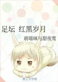 《足坛 红黑岁月》小说封面