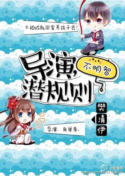 《导演，潜规则不明智[娱乐圈]》小说封面