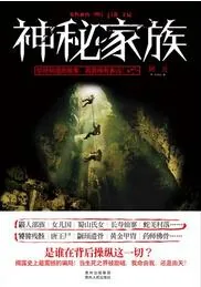 《神秘家族》小说封面