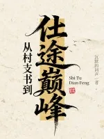 《从村支书到仕途巅峰》小说封面