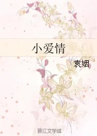 《小爱情》小说封面