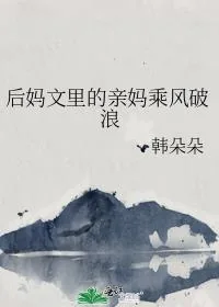 《后妈文里的亲妈乘风破浪》小说封面