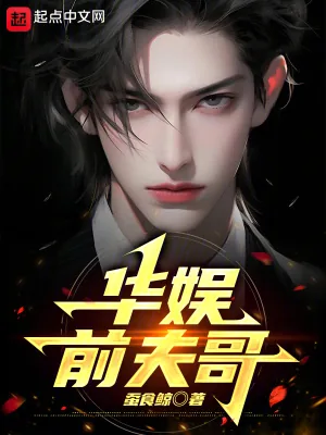 《华娱前夫哥》小说封面