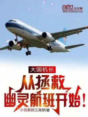 《大国机长,从拯救幽灵航班开始!》小说封面