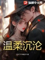 《温柔沉沦》小说封面