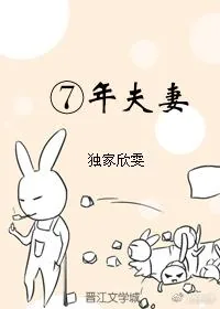 《⑦年夫妻》小说封面