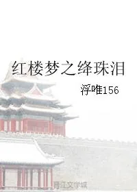 《红楼梦之绛珠泪》小说封面