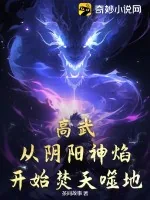 《高武：从阴阳神焰开始焚天噬地！》小说封面