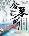 《念琴娇》小说封面