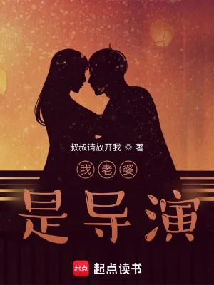 《我老婆是导演》小说封面