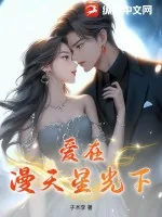 《爱在漫天星光下》小说封面
