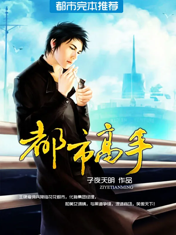 《都市高手》小说封面