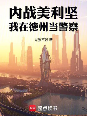《内战美利坚:我在德州当警察》小说封面