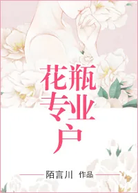 《花瓶专业户》小说封面