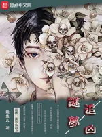 《谜梦追凶》小说封面