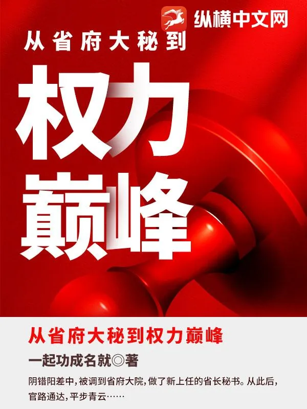 《从省府大秘到权力巅峰》小说封面