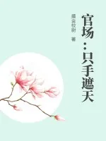 《官场：只手遮天》小说封面