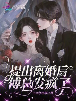 《提出离婚后，傅总发疯了》小说封面