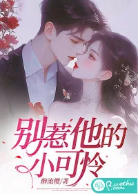 《别惹他的小可怜》小说封面