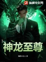 《神龙至尊》小说封面