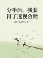 《分手后，我获得了透视金瞳》小说封面