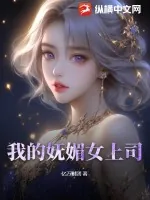 《我的妩媚女上司》小说封面