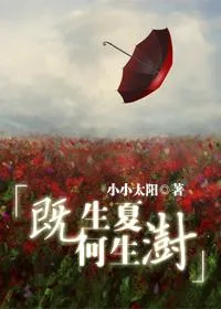 《既生夏何生》小说封面