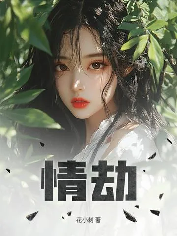 《情劫》小说封面