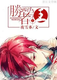 《[综]胜者为王》小说封面
