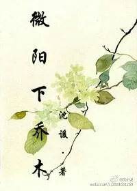 《微阳下乔木》小说封面