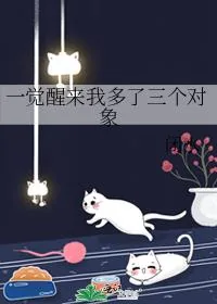 《一觉醒来我多了三个对象》小说封面