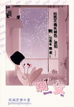 《“剩”女》小说封面