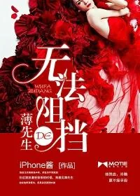 《无法阻挡的薄先生》小说封面