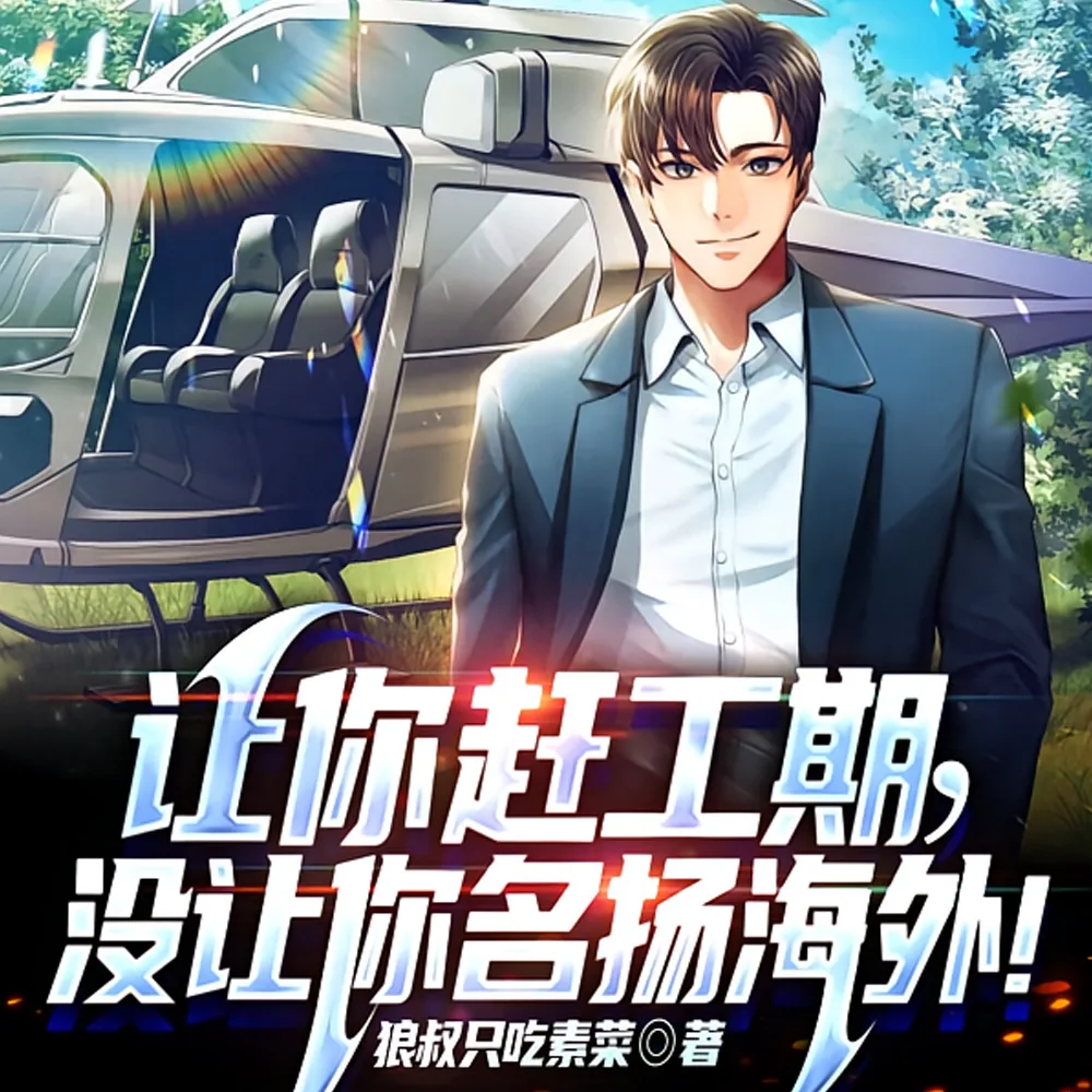 《让你赶工期，没让你名扬海外！》小说封面