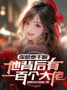 《你惹他干嘛,他背后有一百个大佬》小说封面