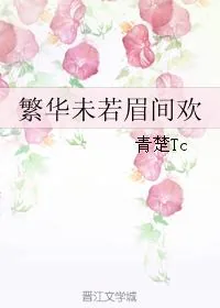 《繁华未若眉间欢》小说封面