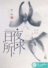 《日夜所求》小说封面