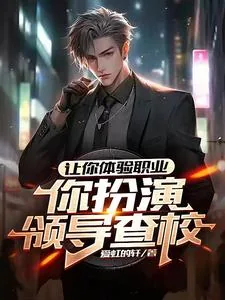 《让你体验职业,你扮演领导查校?》小说封面