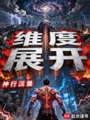 《维度展开》小说封面