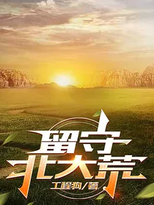 《留守北大荒》小说封面
