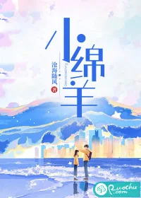 《小绵羊》小说封面