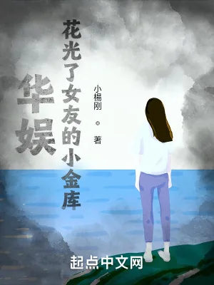 《华娱：花光了女友的小金库！》小说封面
