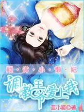 《顽劣小懒妃：调教摄政王》小说封面