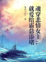 《魂穿悲情女主:就爱给霸总添堵》小说封面