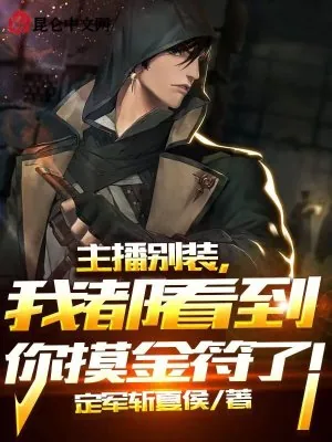 《主播别装,我都看到你摸金符了!》小说封面